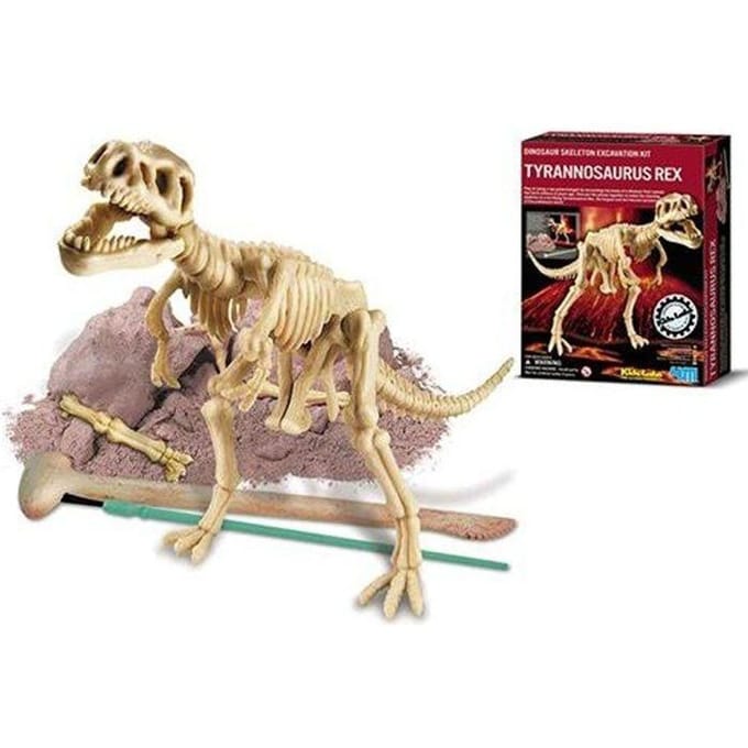 4M Graaf Je Dino Op - T-Rex - Wetenschap En Spel - Opgraafkit En Modelbouw Skelet - KidzLabs - 8 Jaar