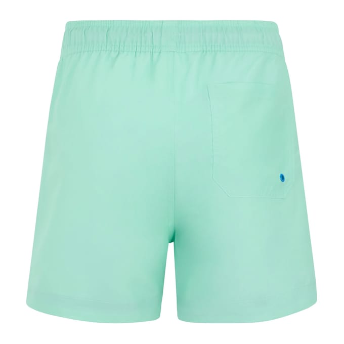 Regatta Skander Zwemshort Kinderen/Kinderen (Ijsgroen/Sonisch Blauw)