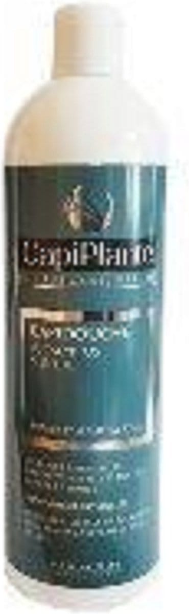 Sh. Douche Familiel Eucalytus / Menthe - CAPIPLANTE