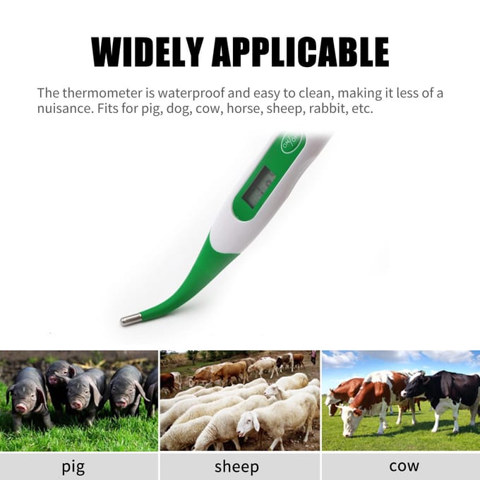 Thermomètre pour animaux thermomètre à affichage LED numérique lecture rapide précis étanche pour animaux de compagnie numérique vert
