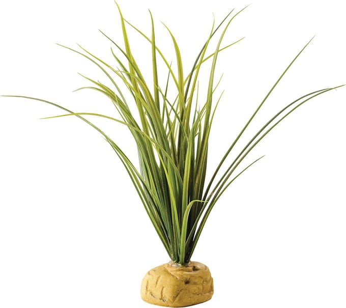 Exo Terra - Ground Plant Turtle Grass 1 st