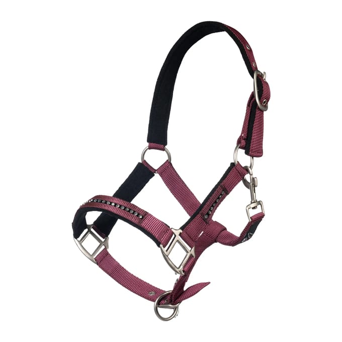 Halster voor paard met musketon HKM