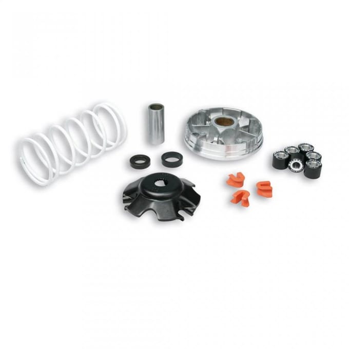 Variateur Malossi pour Scooter Piaggio 50 Typhoon X 1994 à 1999 Neuf