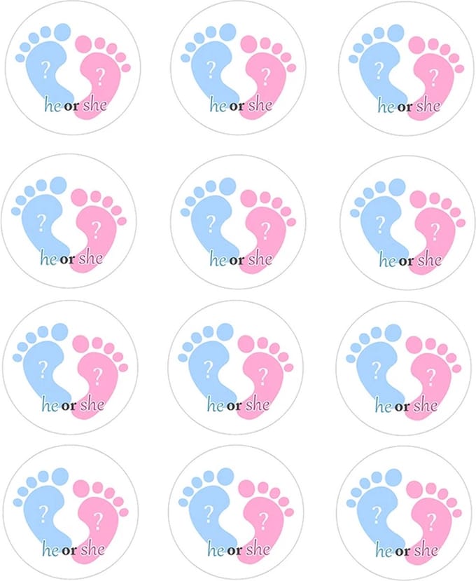 DW4Trading Geboorte Sticker He Or She Blauw-roze - Envelop - Sluitsticker - Babyshower - 24 Stuks – Ø 4,5 cm