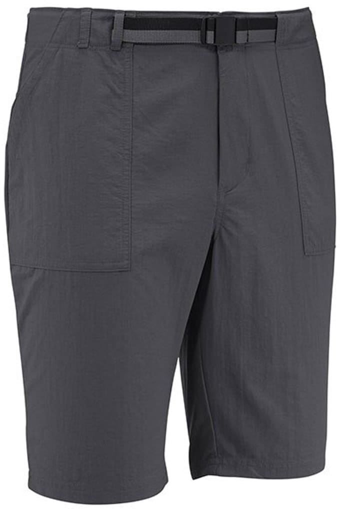 Lafuma Access Korte Broek Grijs M Man