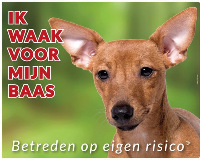 Miniatuur Pinscher Waakbord - Ik waak voor Bruin