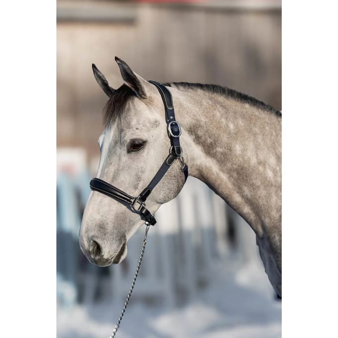 Halsters van leer en nylon voor paarden HFI Mixed