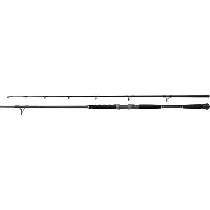Spinhengel Shimano Beastmaster Catfish Lure 120g
