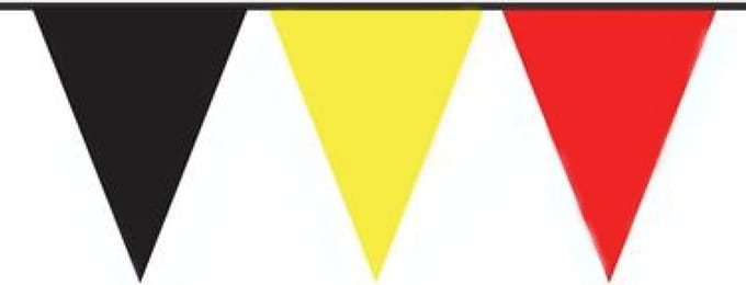 Vlaggenlijn - België - 10m*