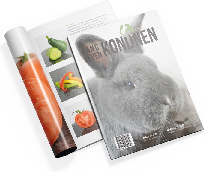 Lang Leven Konijnen magazine - nummer 7