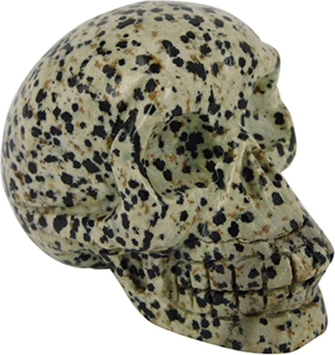 Jaspis dalmatier schedel 70 mm