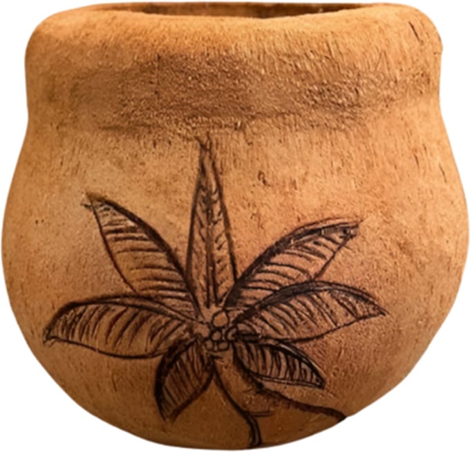 Coco pot palm