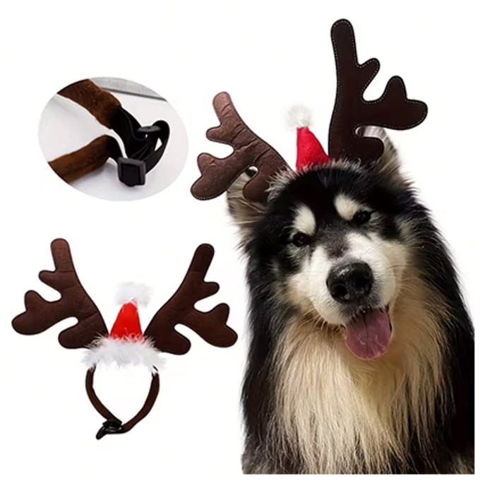 Jack and Vanilla kersthoedje - diadeem voor honden