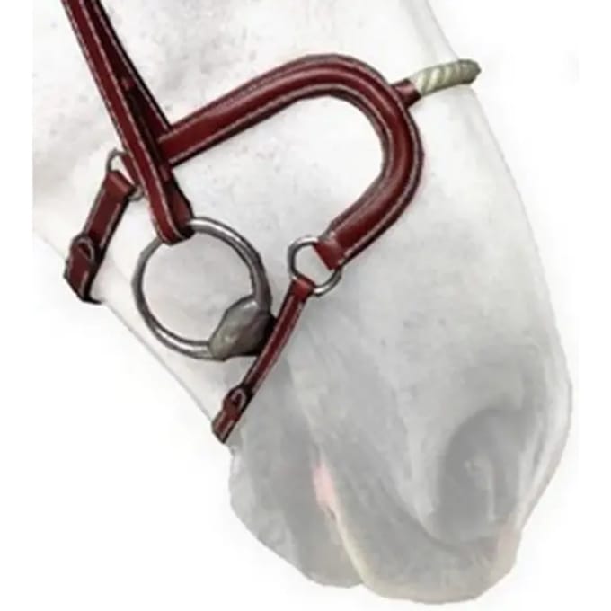 Neusriem cheval touw Silver Crown H