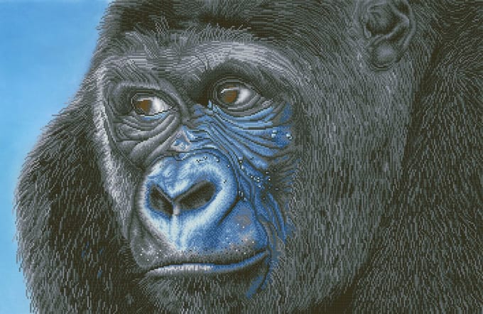 DD15.018 Diamond Dotz® - 100x65cm Kibali Western Lowland Gorilla (DD1906)