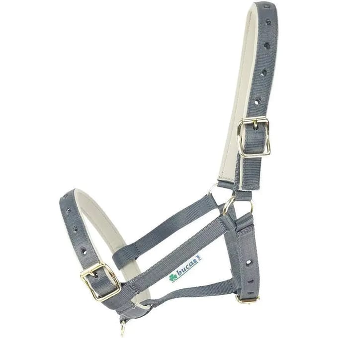 Halster voor paarden Bucas Dublin