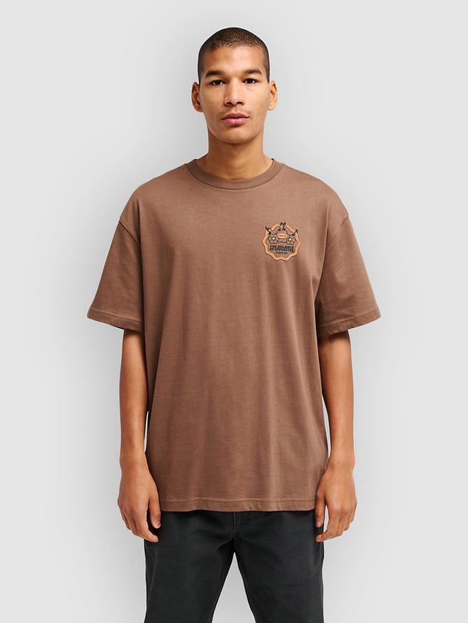 RVCA The Temperance T-Shirt bruin