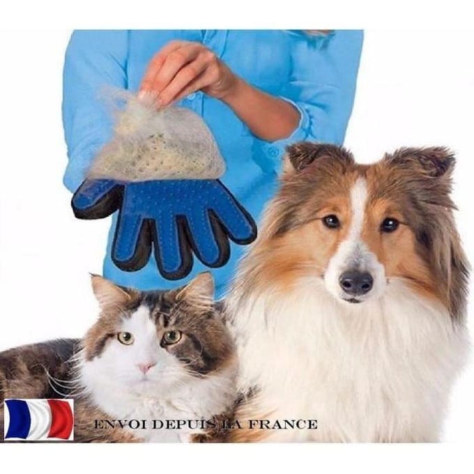 Gant de toilette et massage pour chien et chat