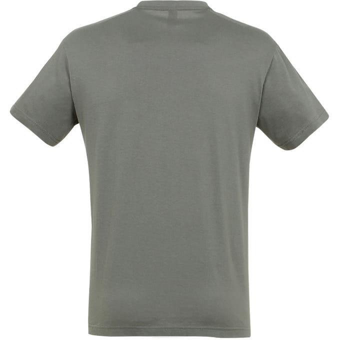 SOLS Heren Regent T-Shirt met korte mouwen (Zink)