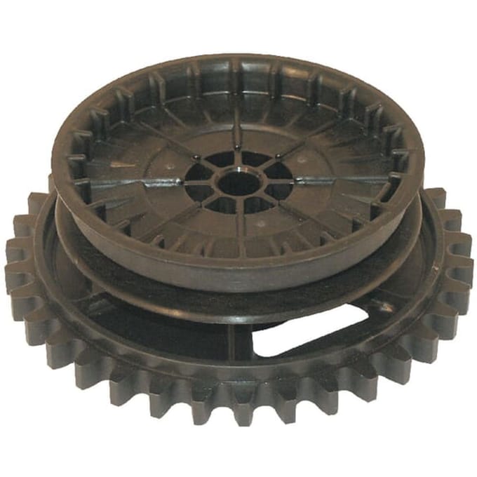 Briggs & stratton koordpoelie