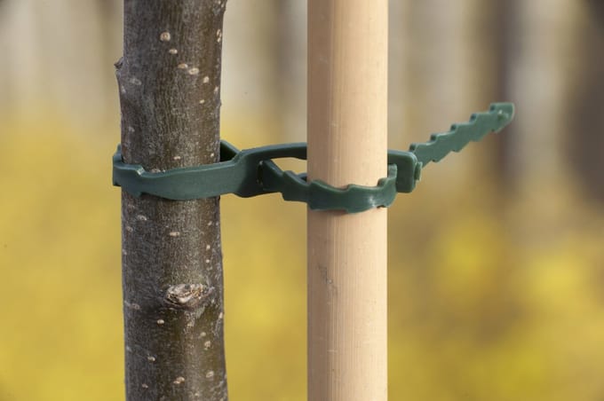Nature Universeel Bindband Met Rattenstaansluiting 35cm 12 Stuks