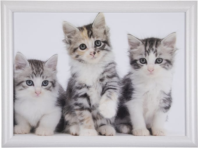 Mars & More Schoottafel schootkussen- katten -kittens - poezen print - 43 x 33 cm