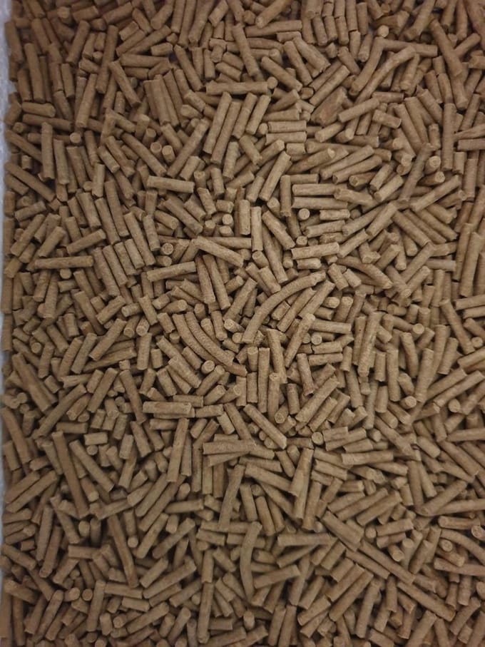 Cichlide sticks 2,5 mm 80 gram