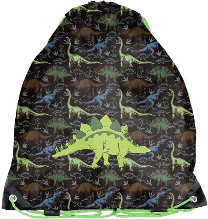PASO Gymtas - Zwemtas - Dino - 45 x 34 cm - Polyester