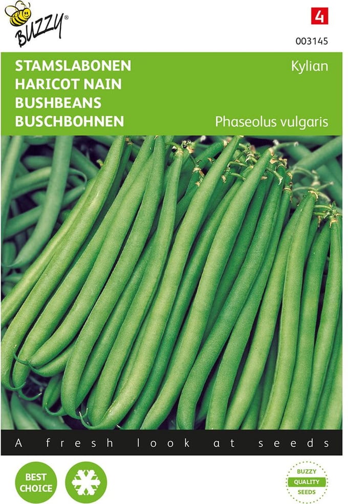 Buzzy® Stamslabonen Kylian