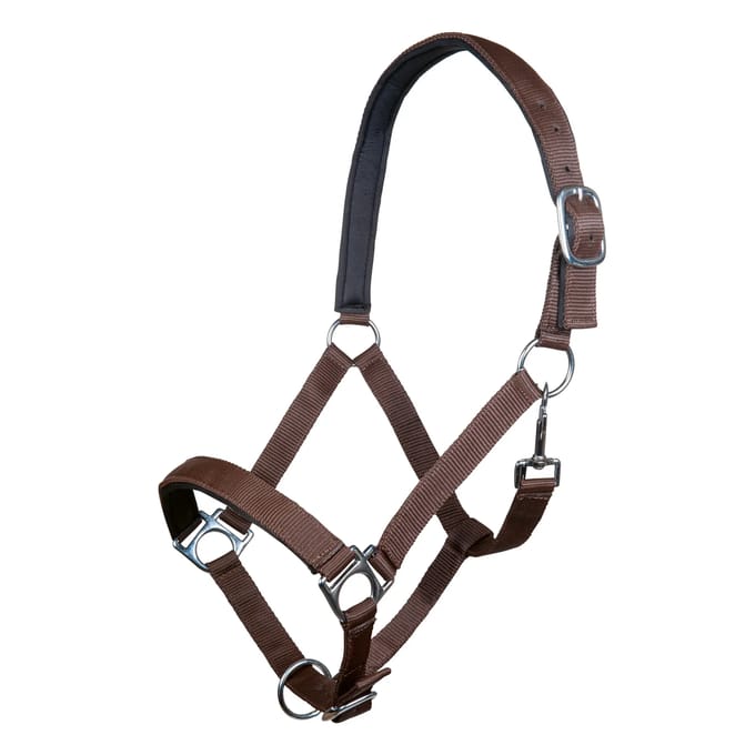 Halster voor paarden HKM Stars