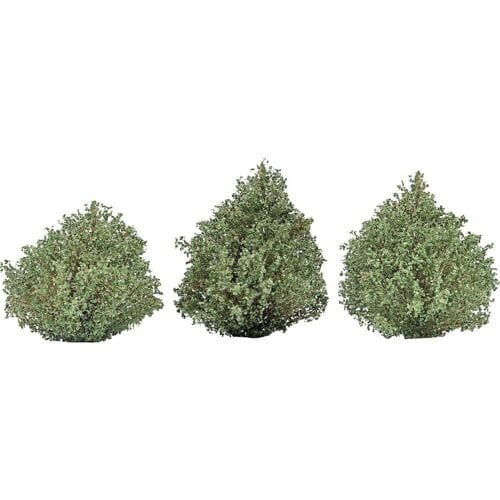Busch 3607 Struik Zomer 40 mm
