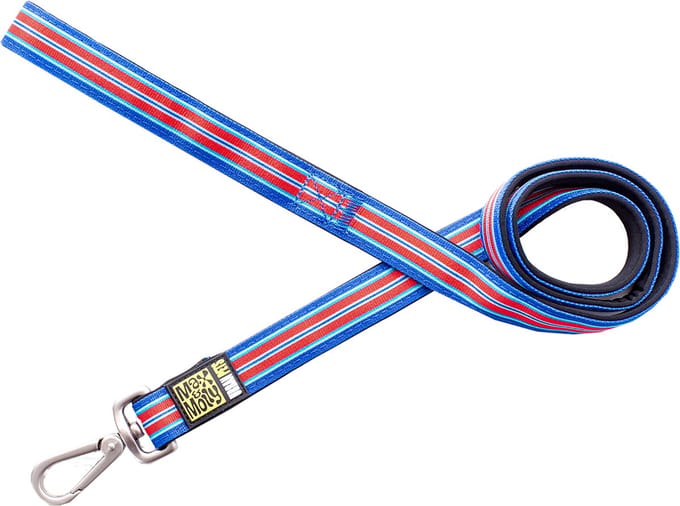 MAX & MOLLY Hampton Strip Hondenlijn / Hondenriem - Polyester - Blauw - XS - Breedte: 1 cm - Lengte: 120 cm