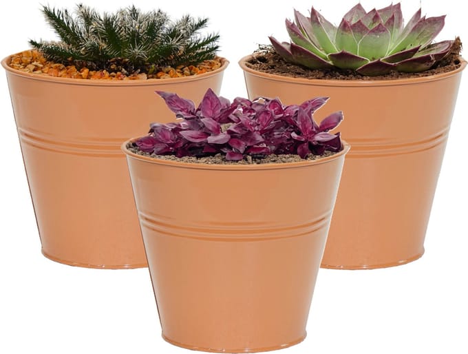 Mega Collections plantenpot/bloempot Bob - 3x - zink - terra - D11 X H10 cm