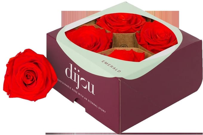 4x Rose preserved dc scarlet