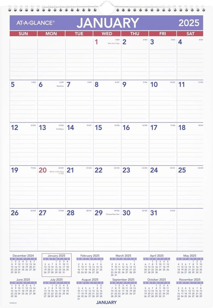 AT-A-GLANCE 2025 Uitwisbare kalender, droog uitwisbare muurplanner, 30,5 cm x 43,2 cm, klein (PMLM022825)