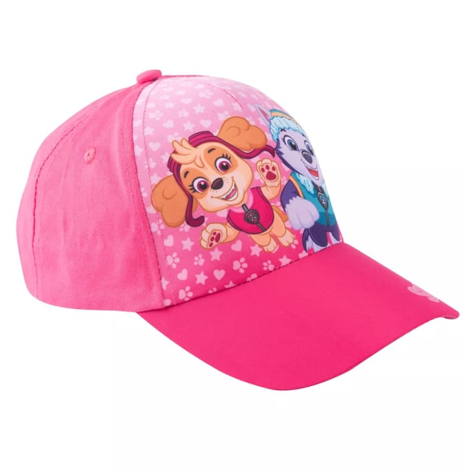 Paw Patrol pet