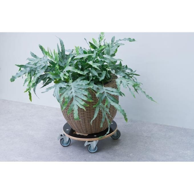 Support de pot roulant carré - NATURE - Bois FSC® - Charge max 250 kg - Roues multidirectionnelles