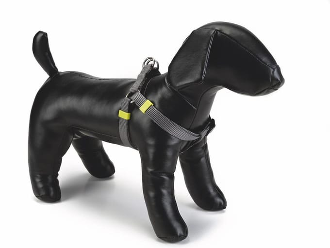 Beeztees nylon borsttuig uni grijs 46-75 cm x 20 mm