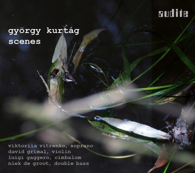 Viktoriia Vitrenko, David Grimal, Luigi Gagger - Scenes (CD)