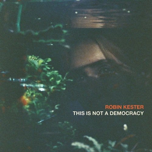 This Is Not A Democracy - Robin Kester