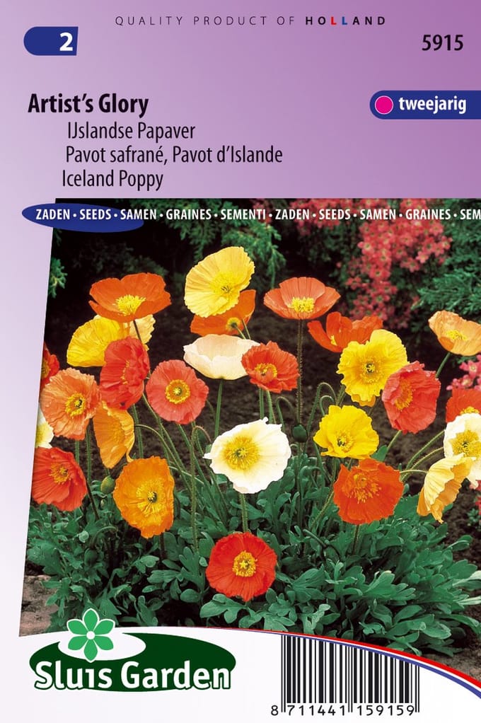 Sluis Garden - Papaver IJslandse, Artist's Glory