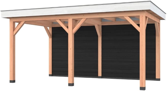 Douglas overkapping, 500 x 300, met achterwand, Westwood Holland Basic
