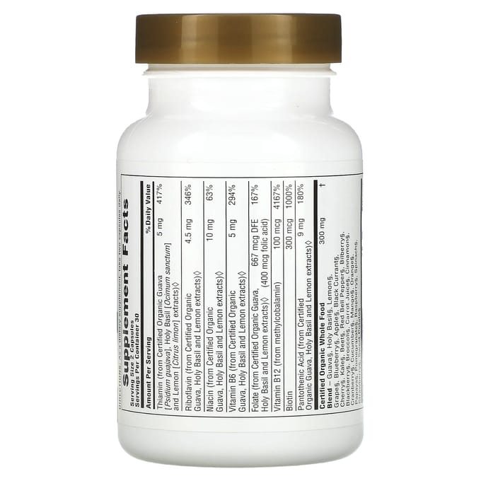 Source Of Life Garden, Vitamines du complexe B certifiées biologiques, 60 capsules végétales
