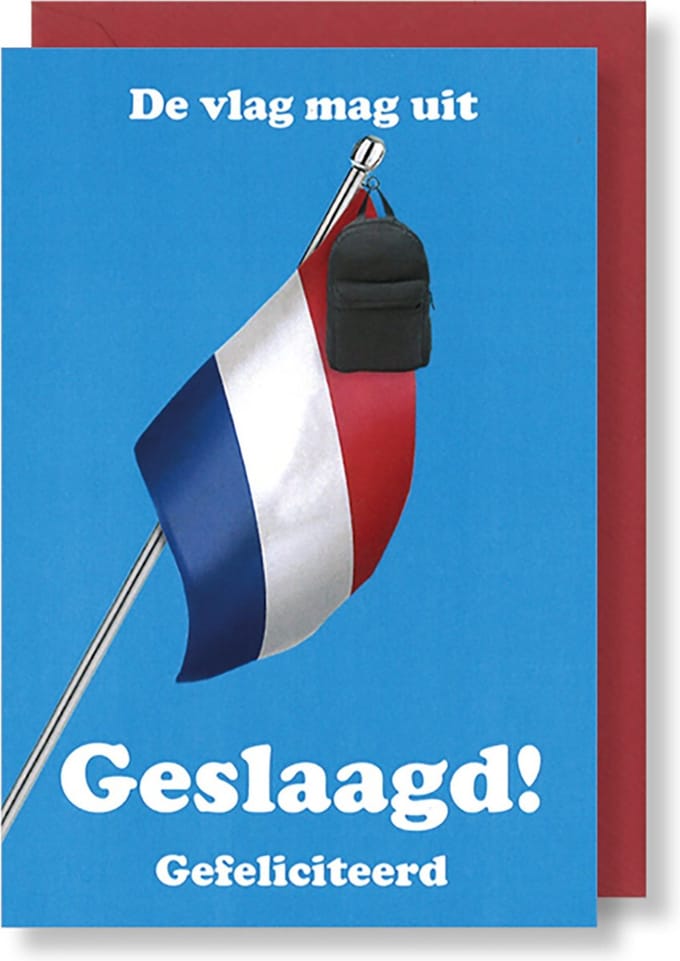 MGPcards - 6 Wenskaarten met gekleurde envelop - Geslaagd - Gefeliciteerd - 11,5 x 17 cm