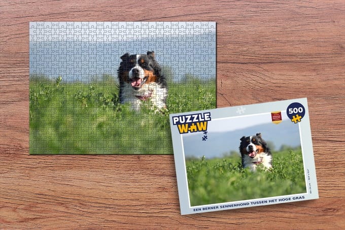 Puzzel Een Berner Sennenhond tussen het hoge gras - Legpuzzel - Puzzel 500 stukjes