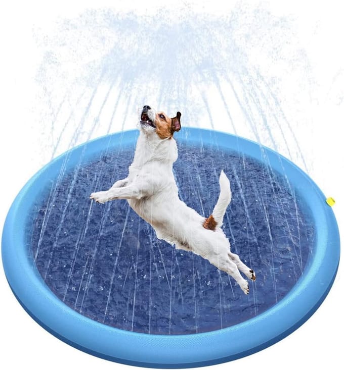 Opblaasbare Watersproeimat voor Honden en Kinderen - Antislip