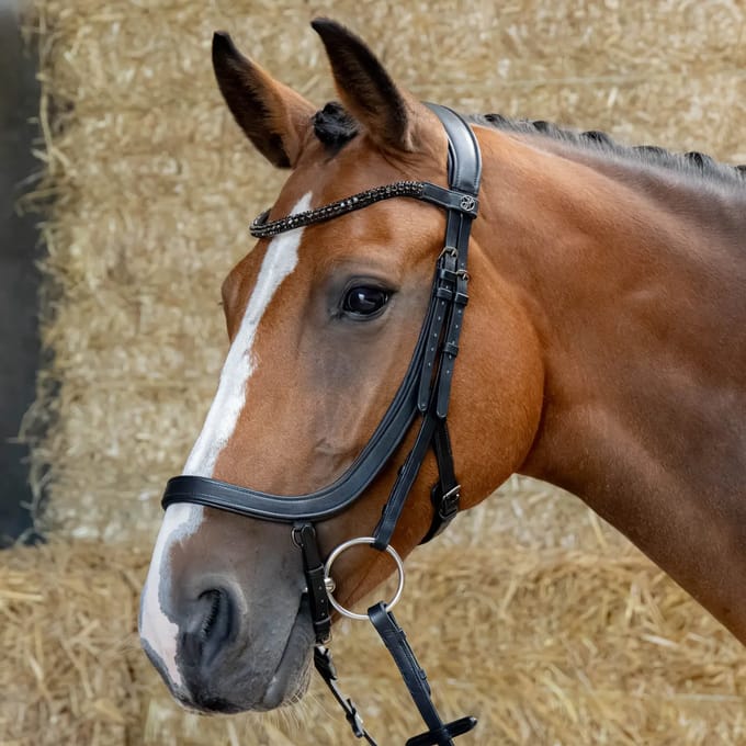 Anatomische paardenruiters biedingen Harry's Horse