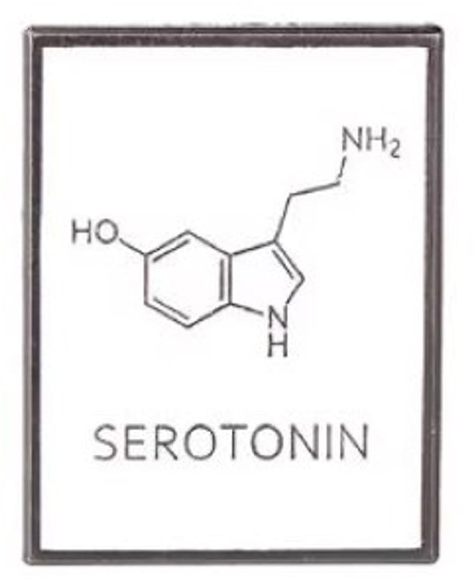 Pin Broche - enamel pin - kledingspeld - Serotonin