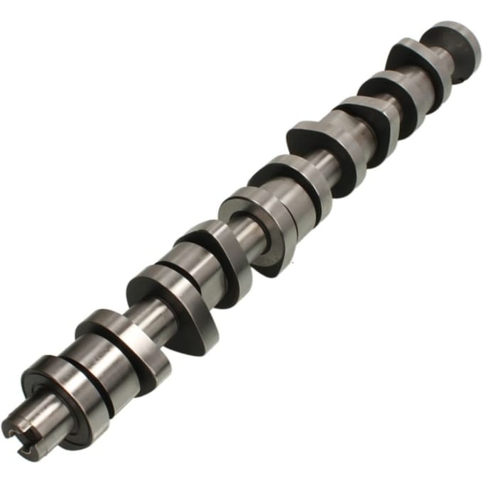 Nokkenas  AE CAM916