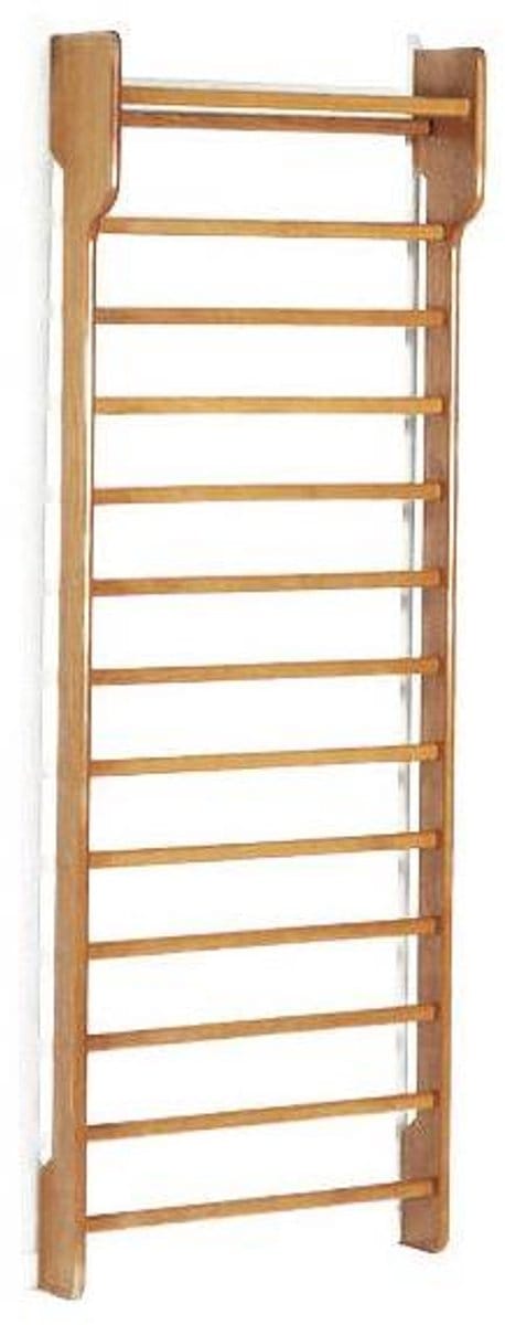 Toorx Single Wallbar - Wandrek